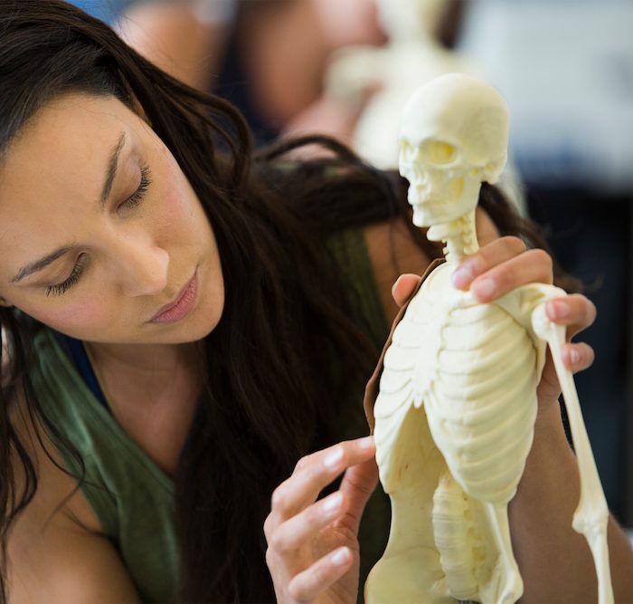 Formación Balanced Body Evento Anatomía en 3D